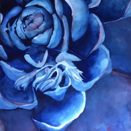 Blue Succulent
30x22 Blue Succulent
30x22